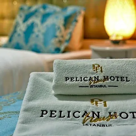 Pelican House Hotel 3*