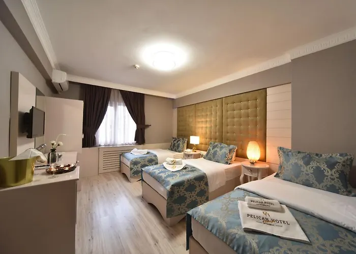 酒店 Pelican House 伊斯坦布尔