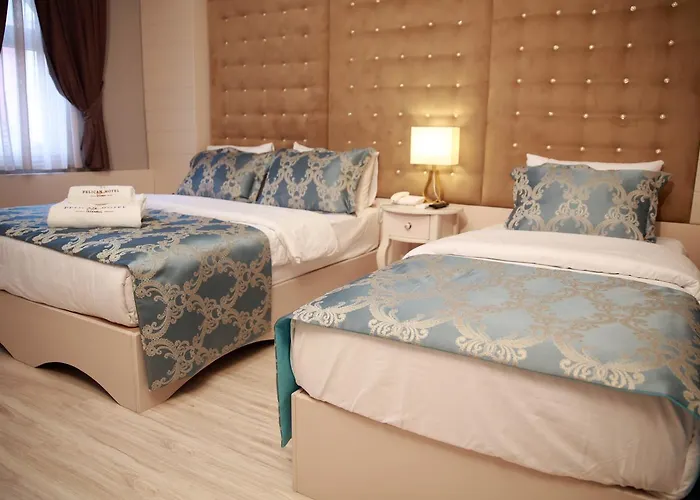 酒店 Pelican House