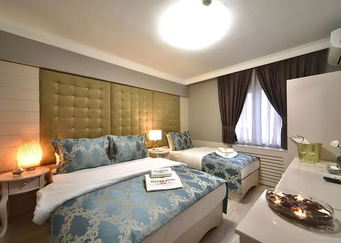 酒店 Pelican House 3*