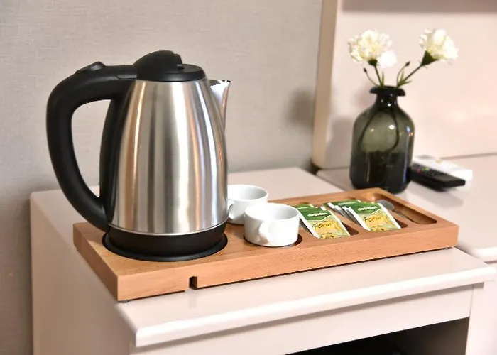 Pelican House 酒店 伊斯坦布尔