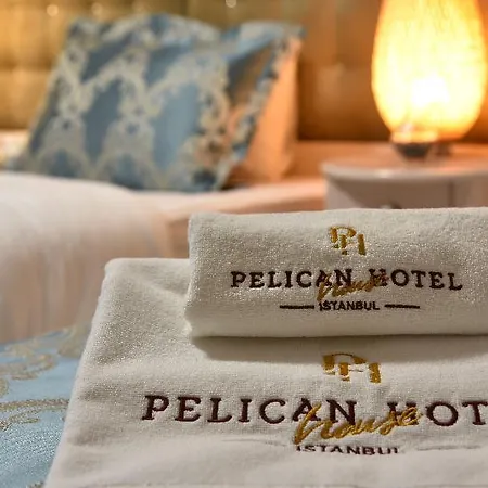 Pelican House Hotel 3*